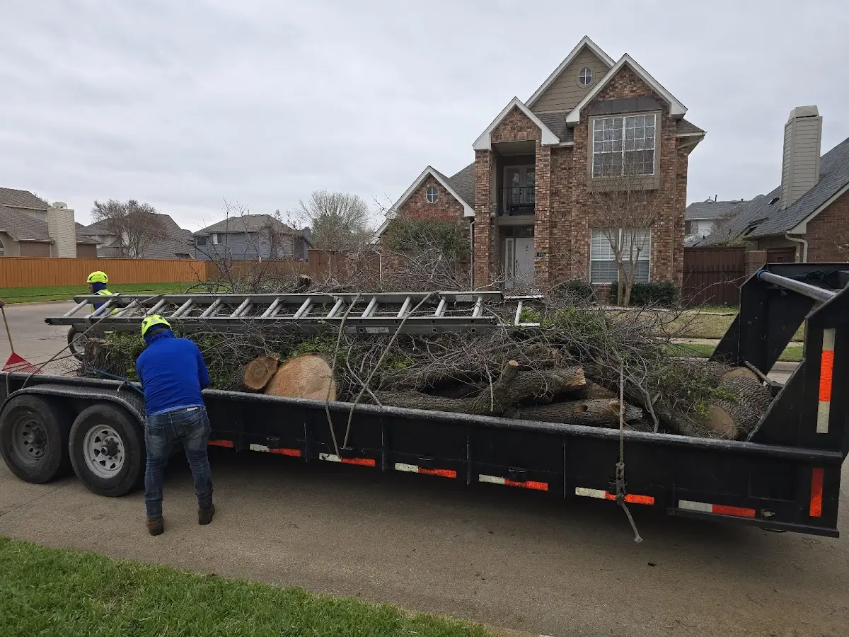Expert Crown Reduction with proper safety equipment in Colerain